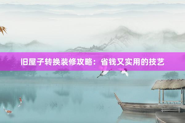 旧屋子转换装修攻略：省钱又实用的技艺