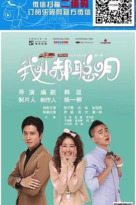 美丽谎言2014 封面图